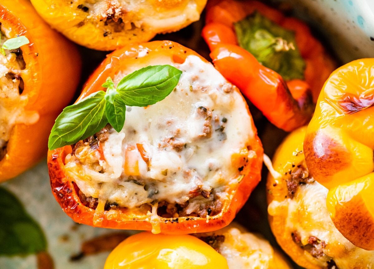 Italian stuffed peppers in a casserole dish topped with melted cheese and garnished with fresh basil.