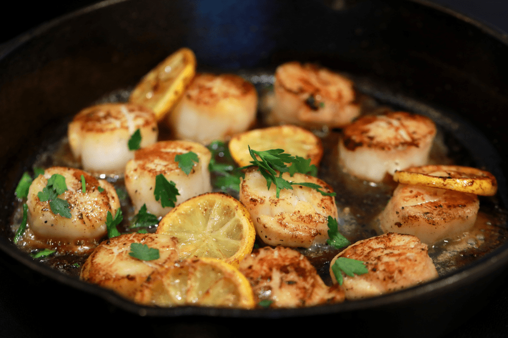 sea scallops, seared scallops, tasty, seafood, lemon and parsley scallops, fresh seafood, 