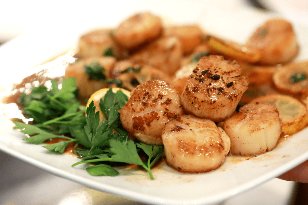 sea scallops, seared scallops, tasty, seafood, lemon and parsley scallops, fresh seafood, 