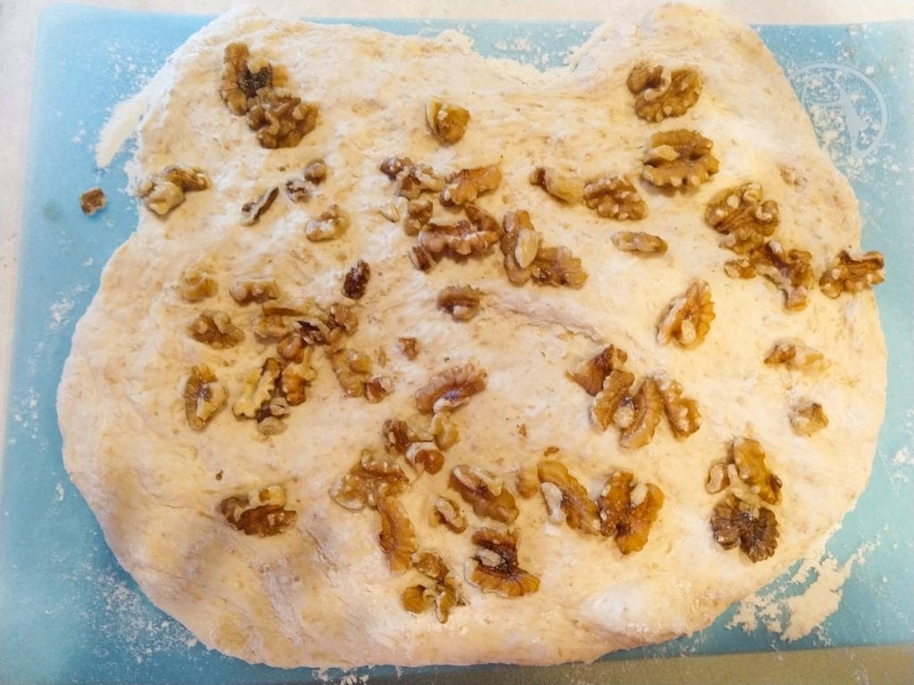 No knead bread dough with walnuts laying flat and getting ready to roll and bake.