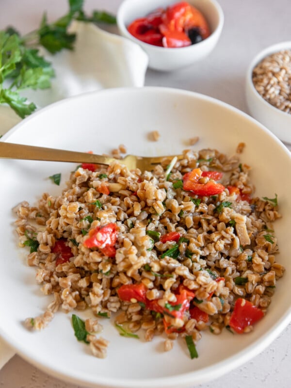 Fork on a plate of farro salad with roasted peppers and mushrooms.