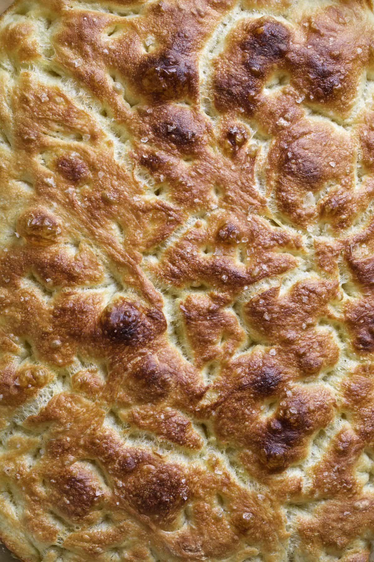 Loaf of no knead Italian focaccia bread.