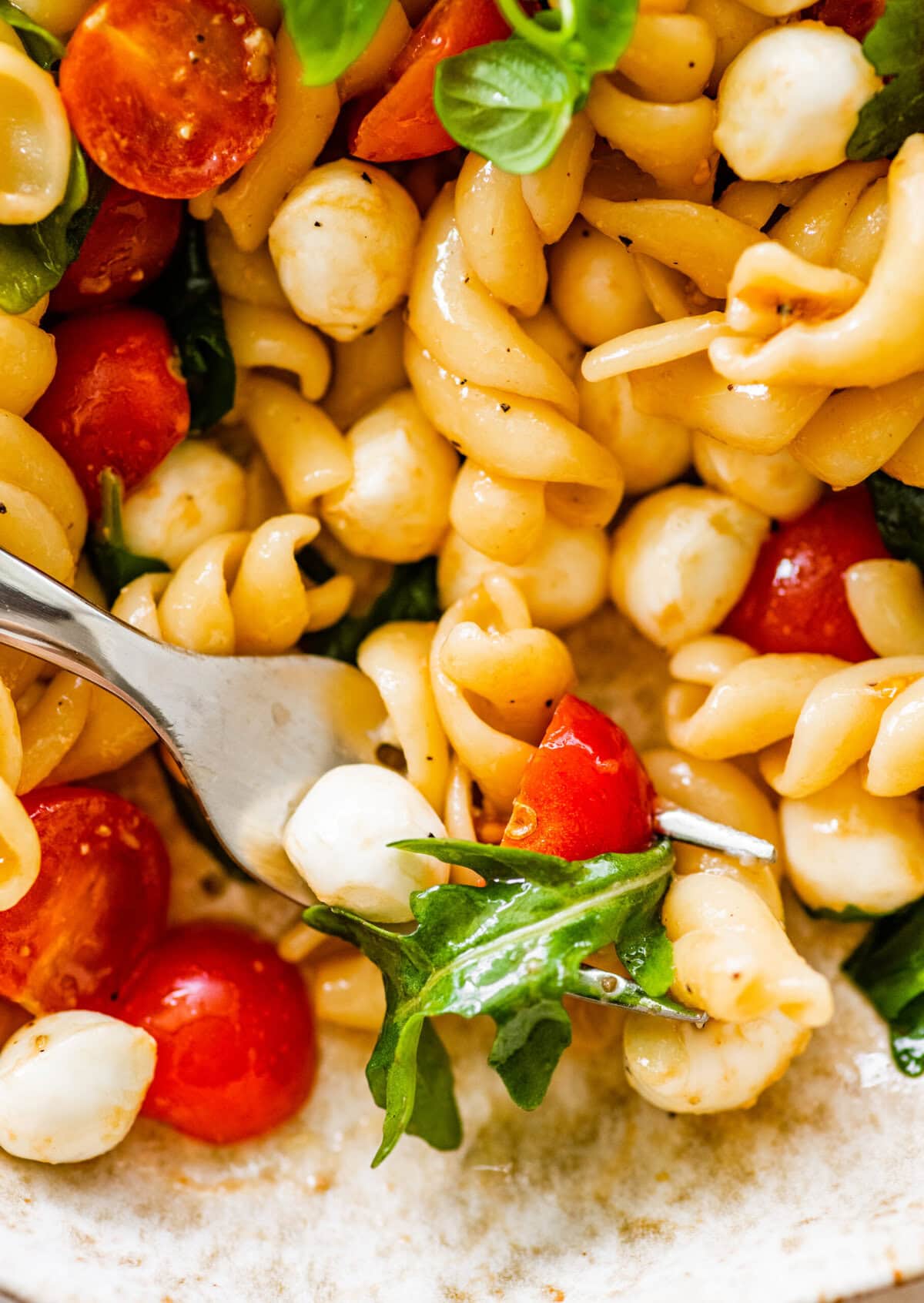 Pasta salad with tomatoes, mozzarella, and basil.