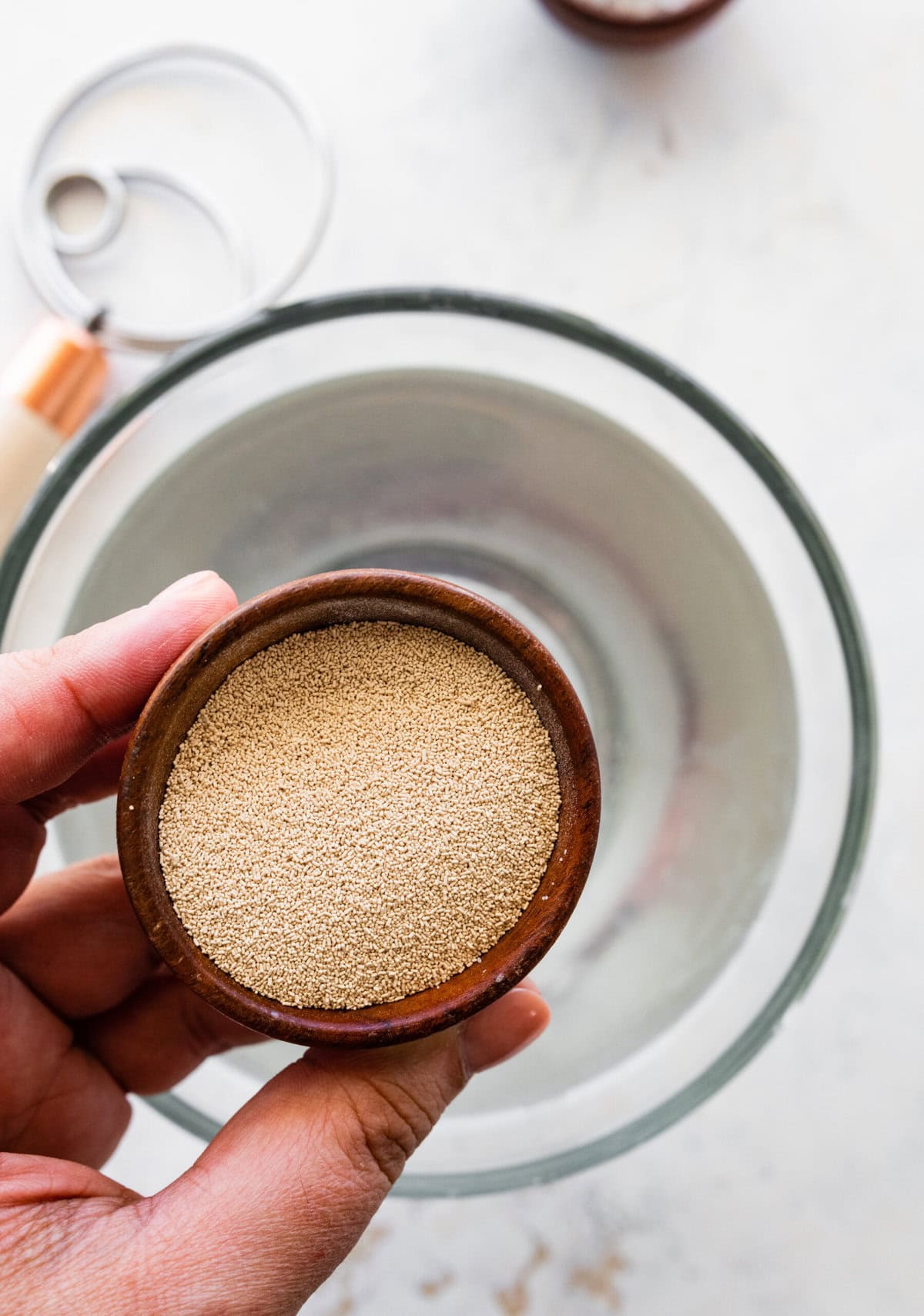 how to make no-knead focaccia bread step-by-step: add yeast and sugar to the water and let in bubble.