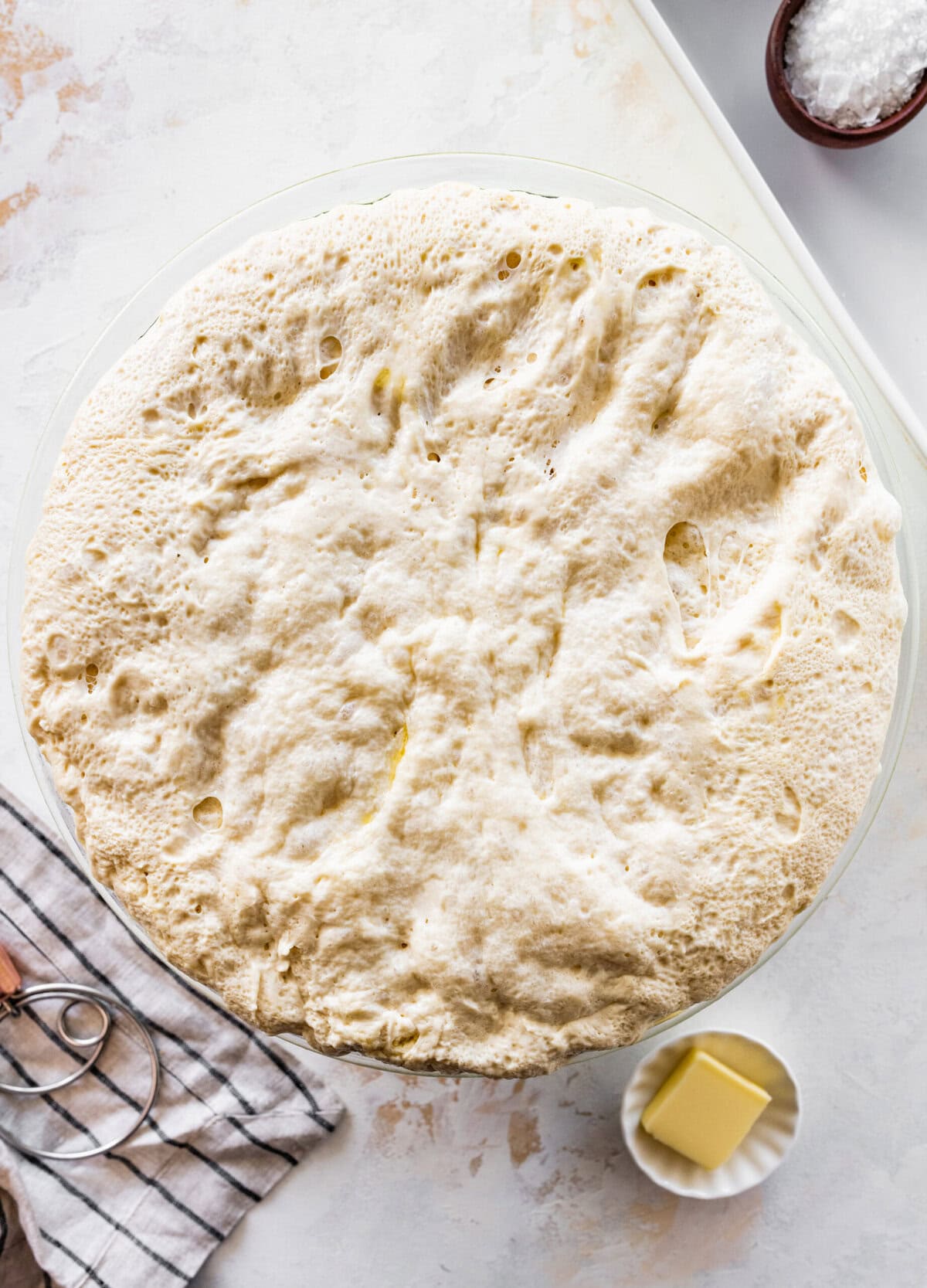 how to make no-knead focaccia bread step-by-step: let the dough rise in the fridge and take off the plastic cover. There will be lots of bubbles!