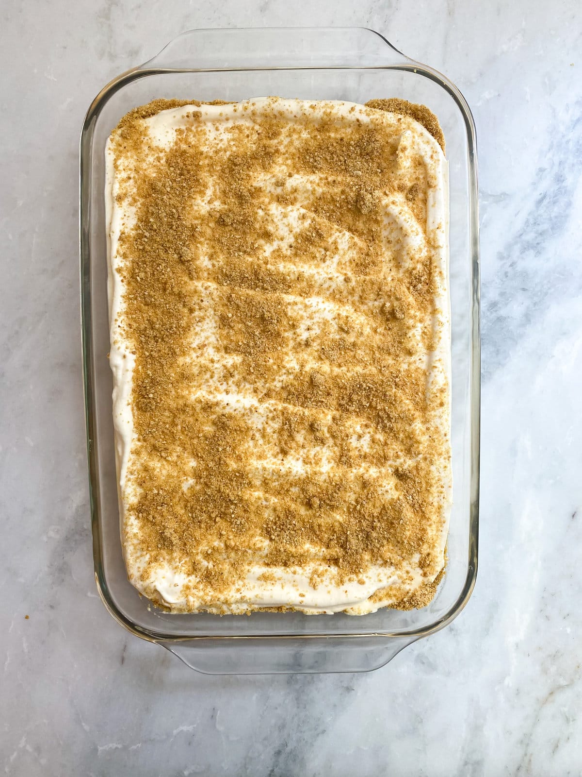 final frozen lemon dessert in pan