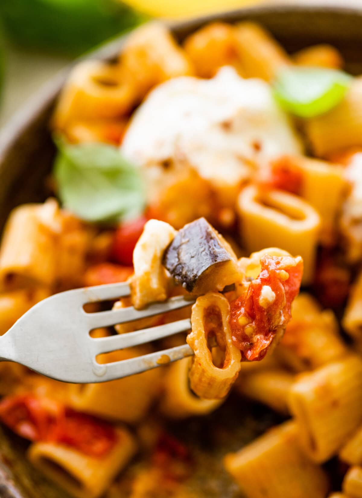 fork bute with pasta and eggplant and tomato.
