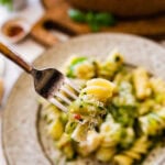 fork taking a bite of the zucchini cheese pasta.