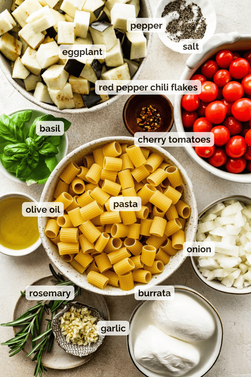 Recipe ingredients for eggplant pasta sauce recipe.
