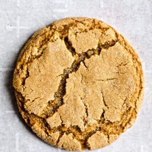 up close photo of one cookie