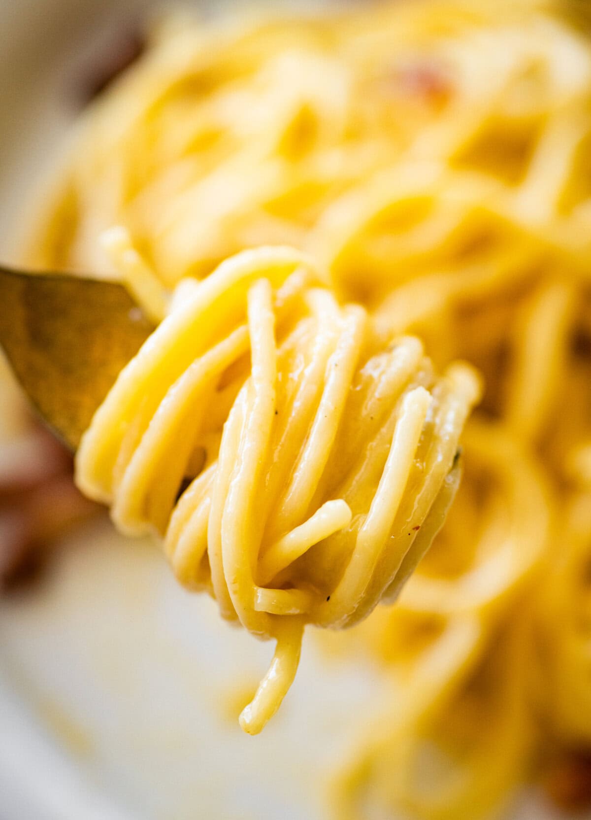 A bite of spaghetti carbonara twirled on a fork held up over the plate of more.