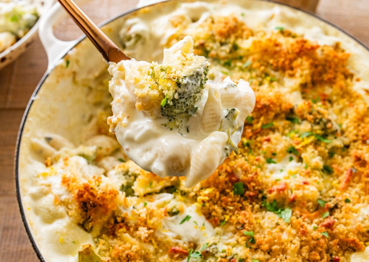 cheese and broccoli pasta bake in a pot, with a fork holding some.