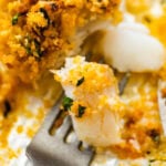Fork with a bite of the panko crusted cod on it ready to eat.