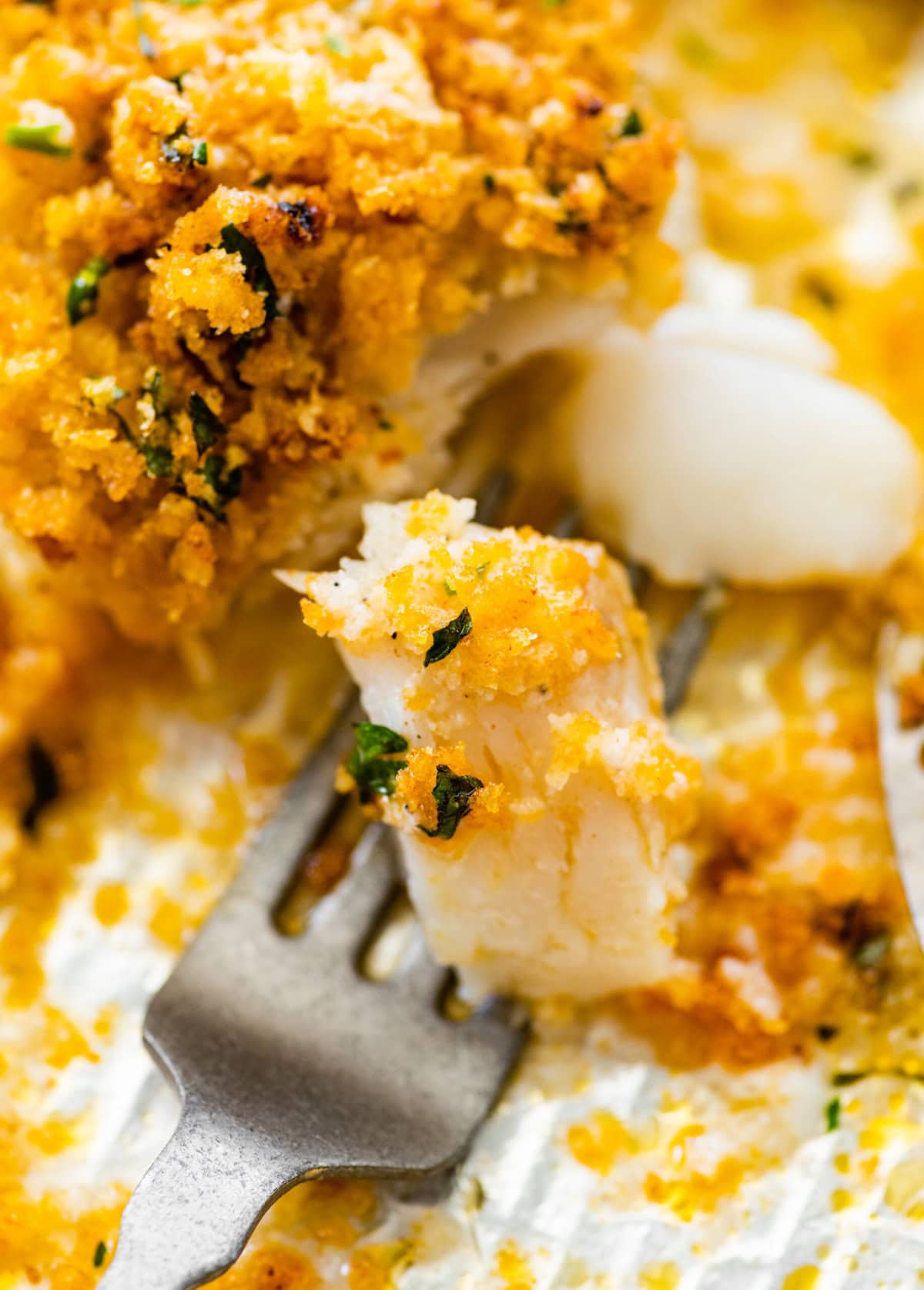 Fork with a bite of the panko crusted cod on it ready to eat.