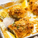 spatula lifting the crispy panko crusted cod from the pan.