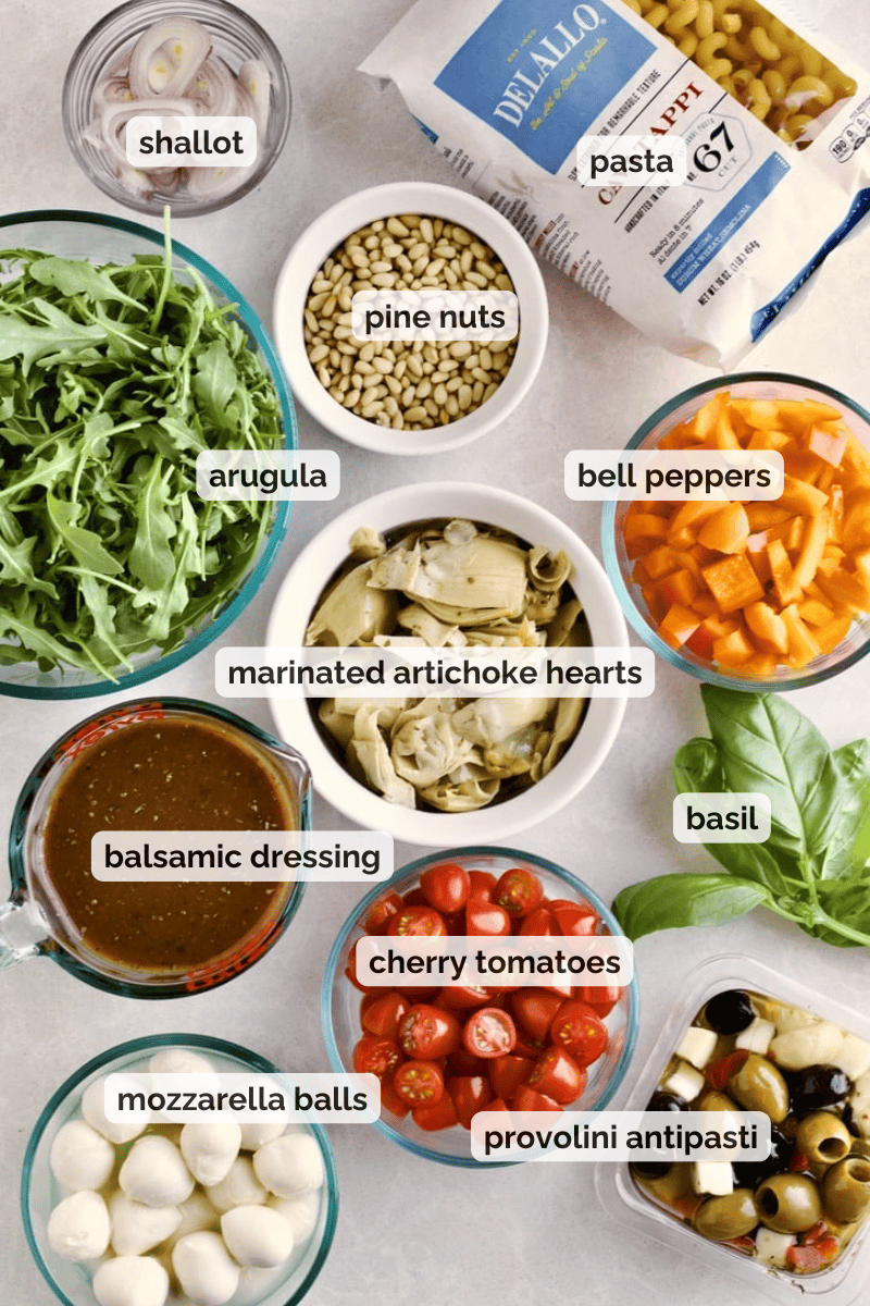 Recipe ingredients for antipasto pasta salad recipe.