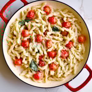 gemelli pasta in pan ready to serve