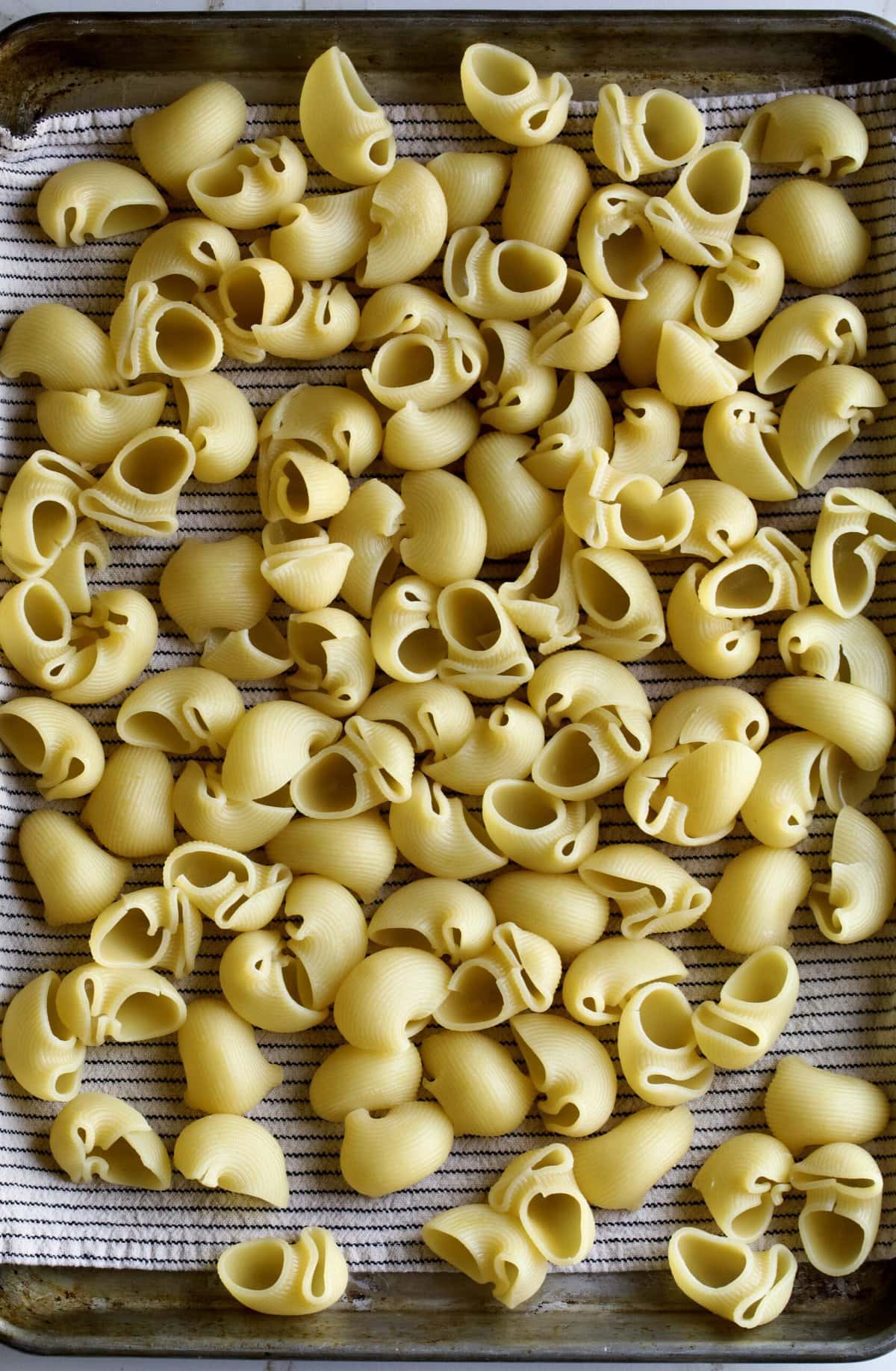 cooked pasta shells ready to stuff. Lay flat on a cookie sheet.