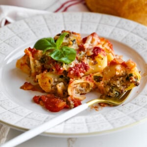 cover photo for stuffed lumaconi pasta