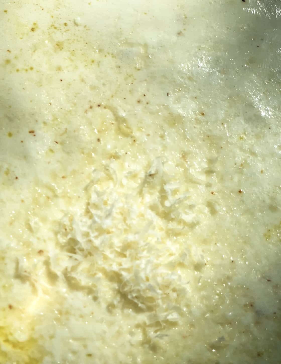 adding parmigiano to the cream sauce. process photo.