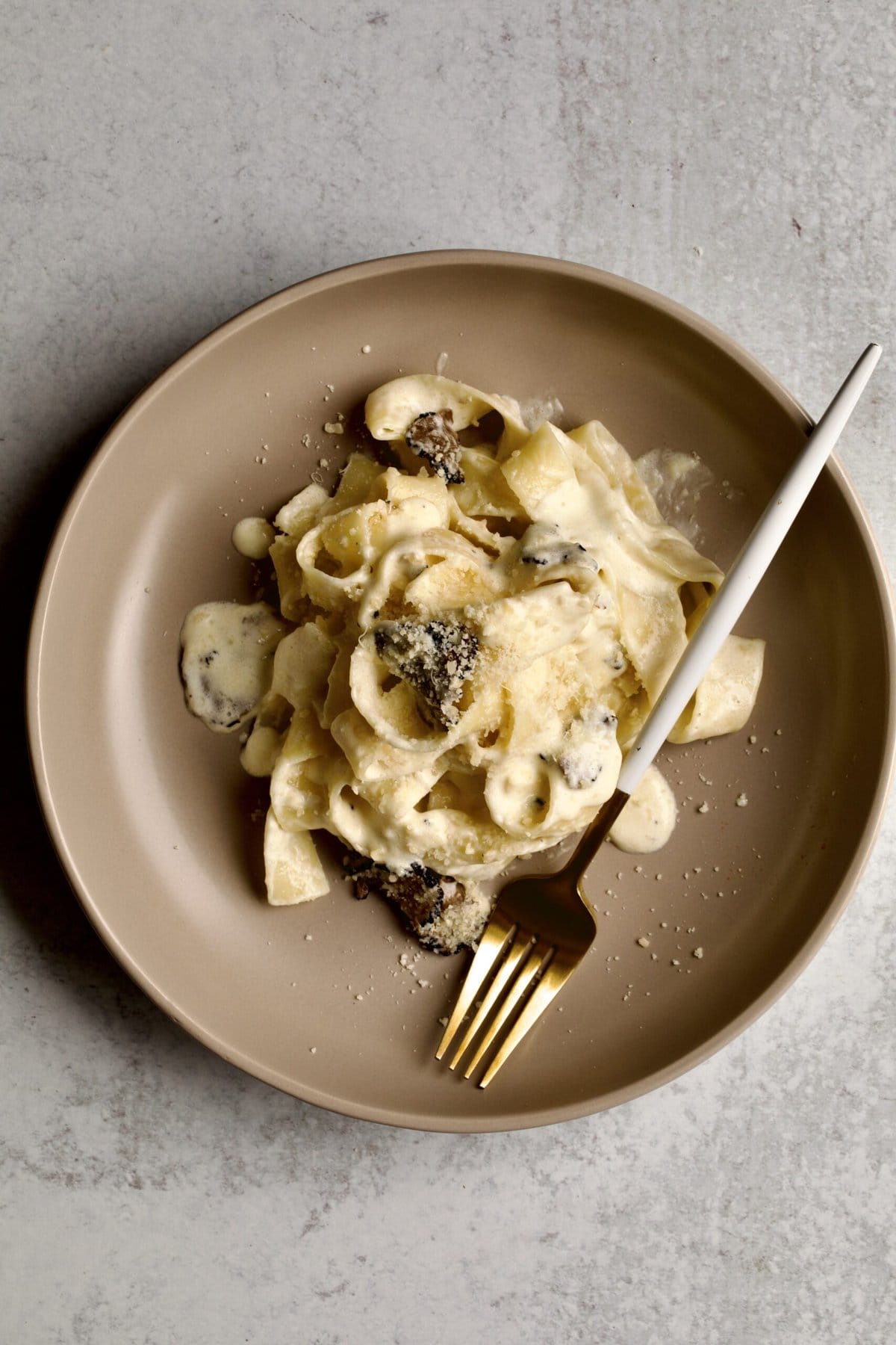 pasta with black truffle cream sauce on a plate with a fork.