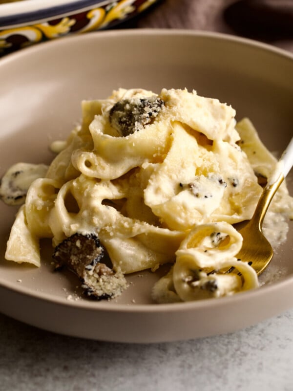 cover photo. close up of twirled pasta on plate with creamy truffle sauce.