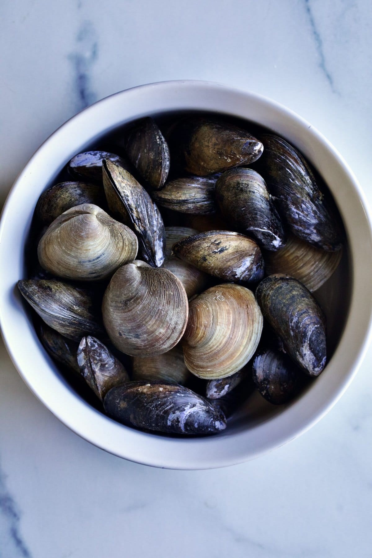 process of making recipe: wash mussels and clams