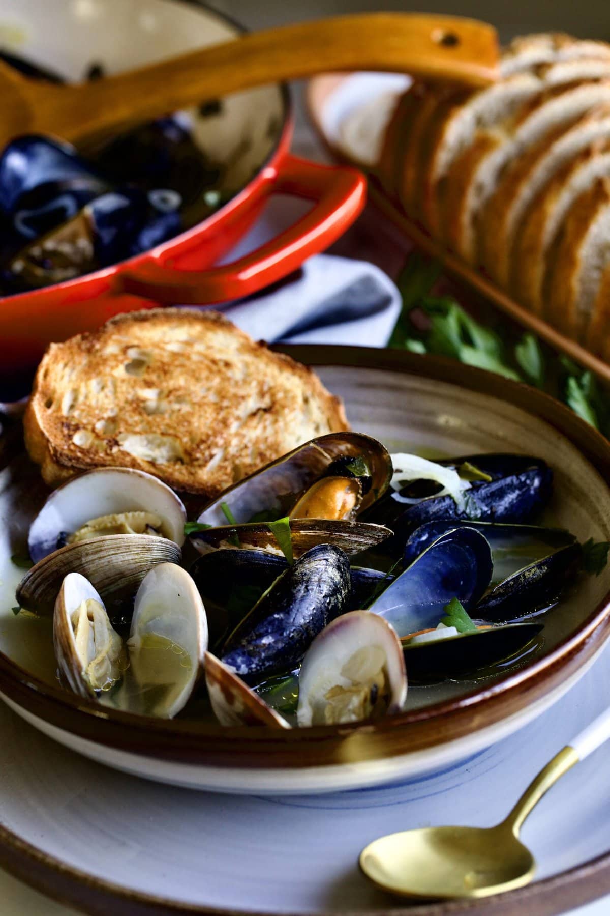close up of bowl with mussels and clams and broth with toasted bread on the side.