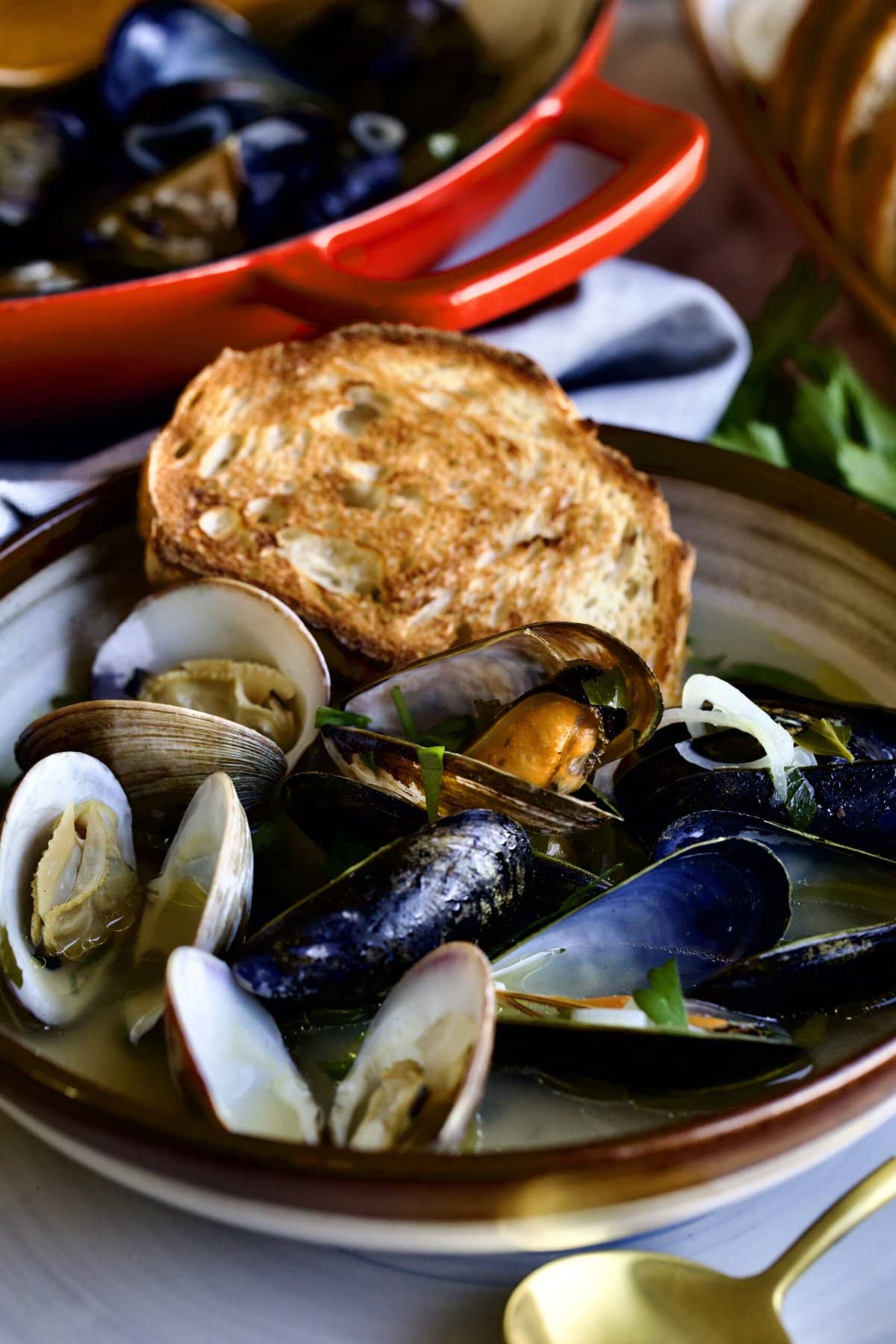 close up of bowl with mussels and clams and broth with toasted bread on the side.