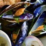 close up of steamed mussels and clams