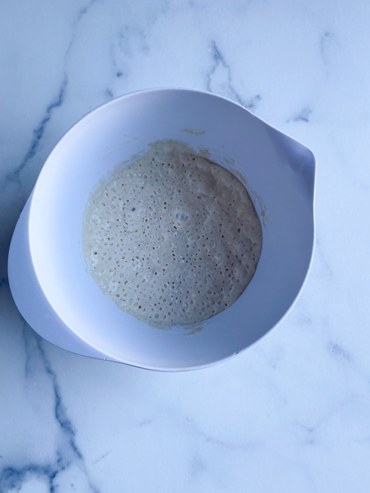 dough starter after overnight rise.