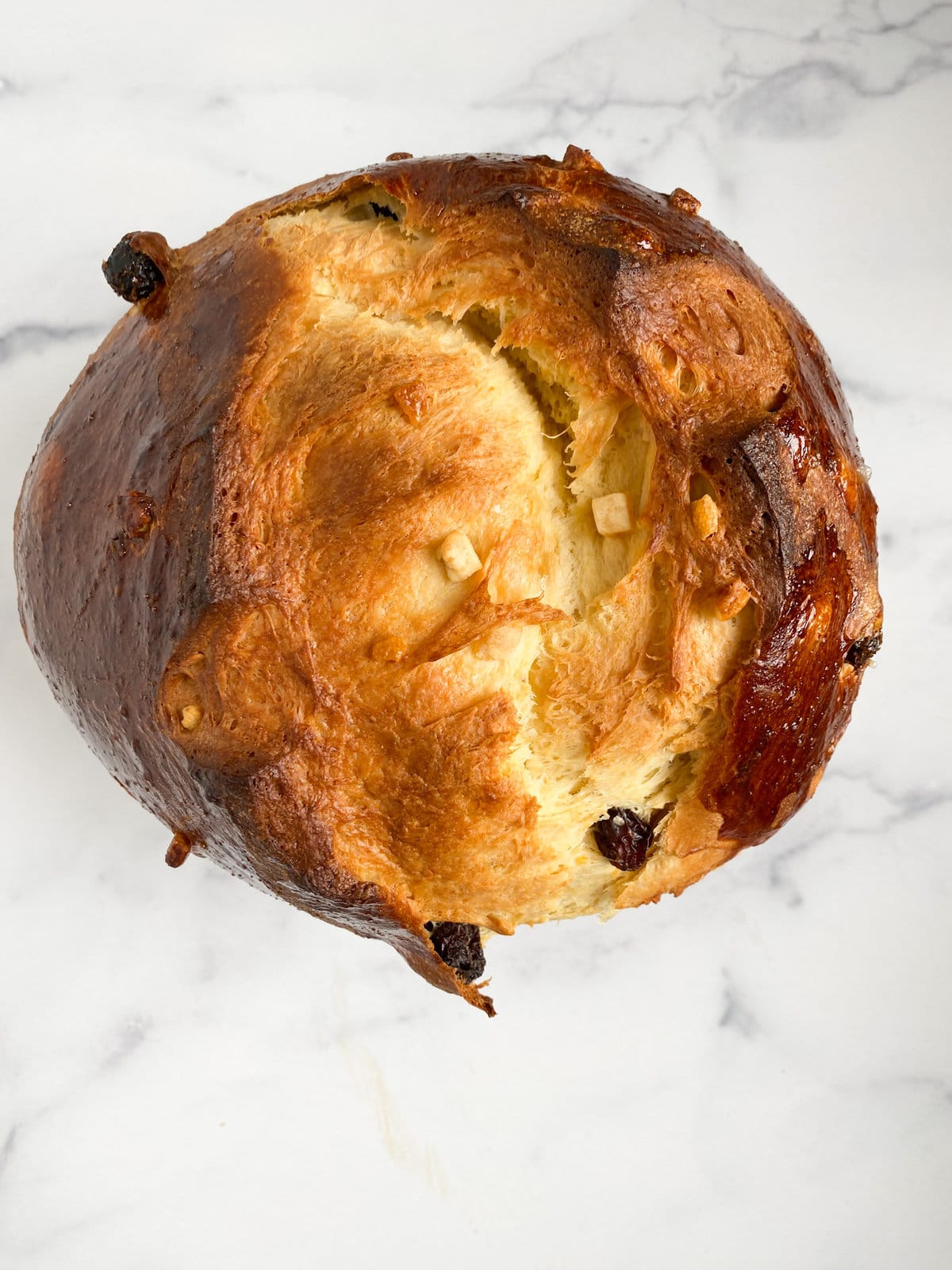 fished and baked Italian panettone 