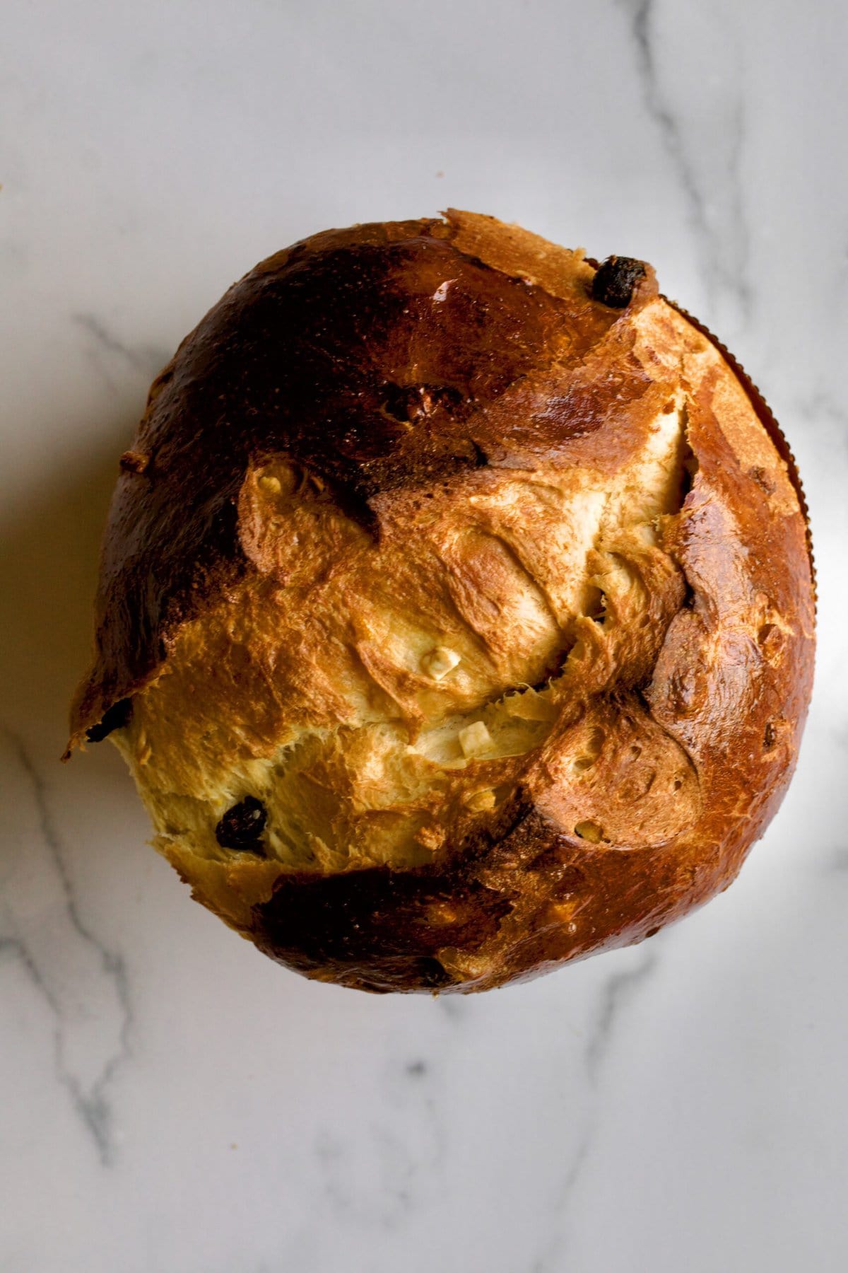 traditional panettone recipe in a paper mold