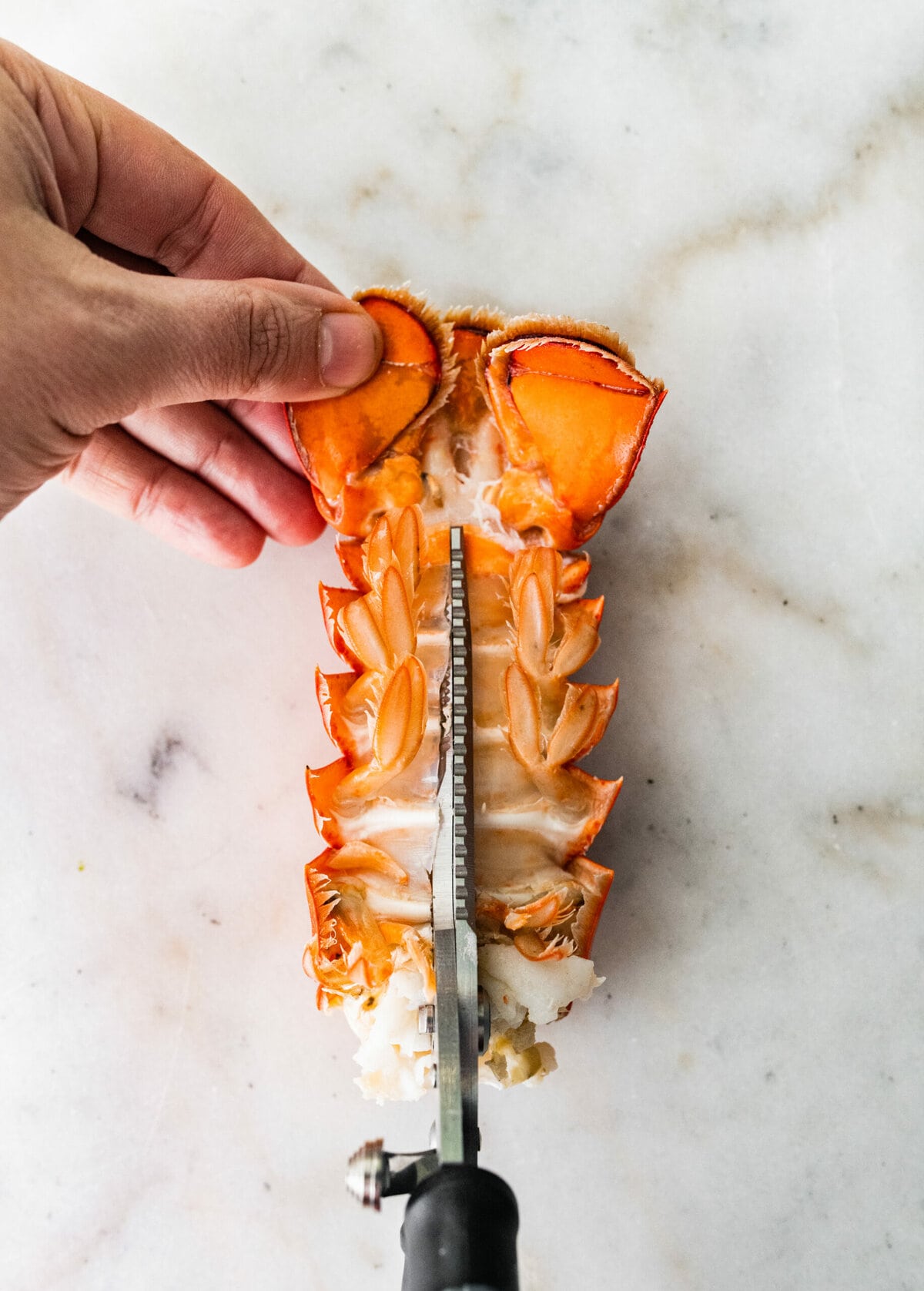 process of making classic lobster bisque: cutting lobster tail to get meat out.