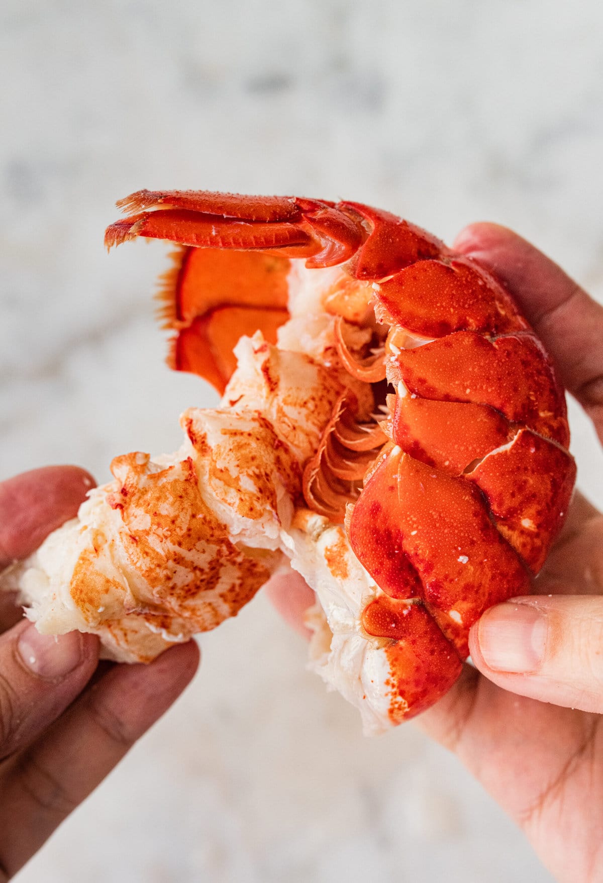 process of making classic lobster bisque: peeling lobster tails.