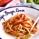 close up of the Best Arrabbiata Sauce Recipe (Spicy Spaghetti Sauce) in a blue and white serving bowl red serving dish with pasta in the background.