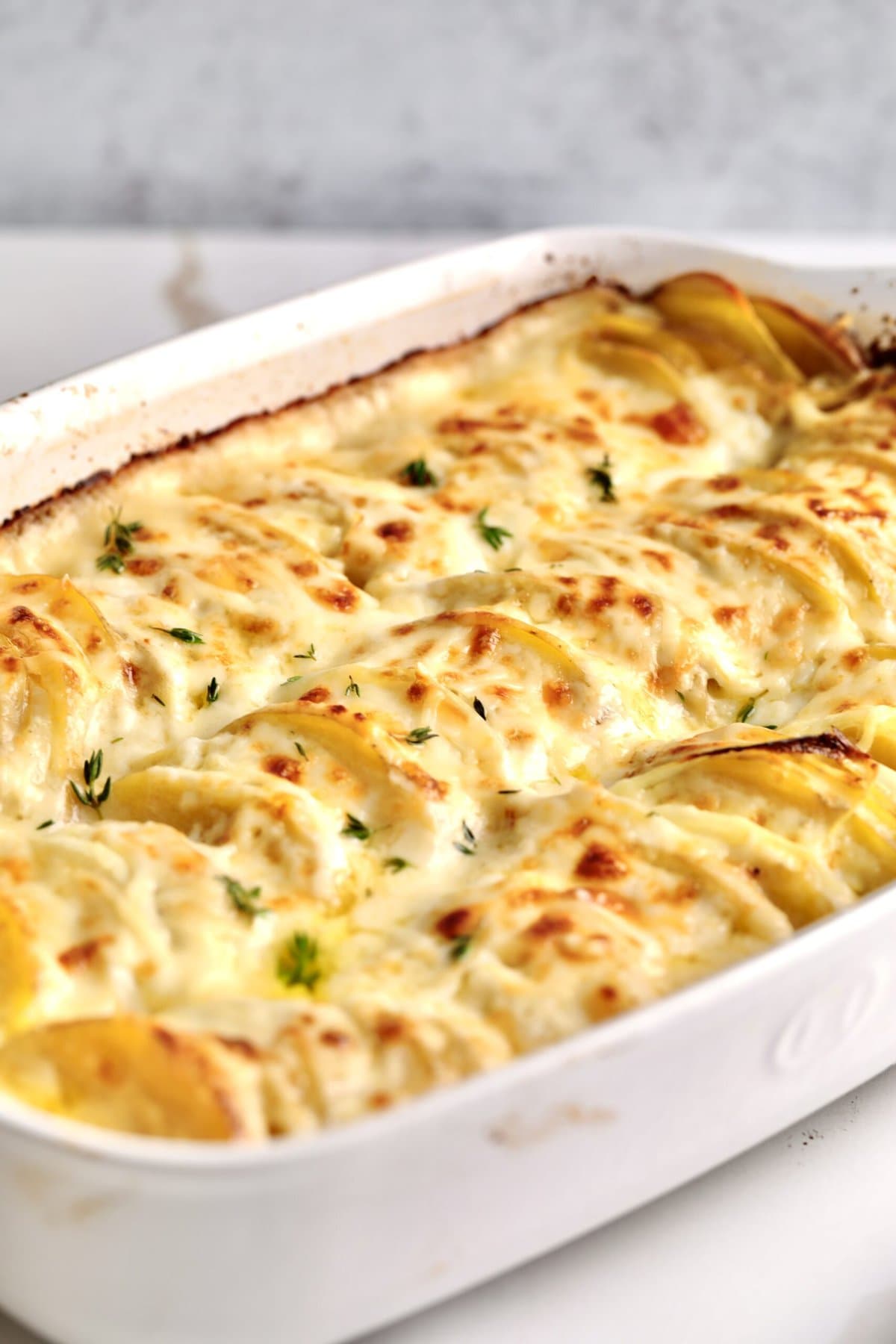 creamy au gratin potatoes in a a baking dish ready to serve.