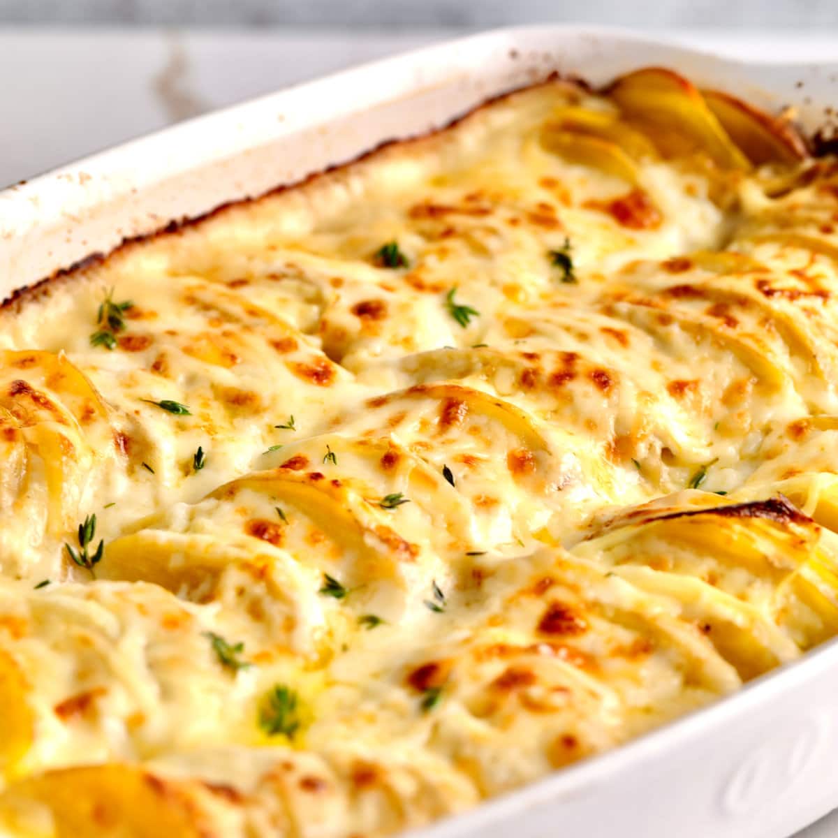 Baking dish of homemade au gratin potatoes.