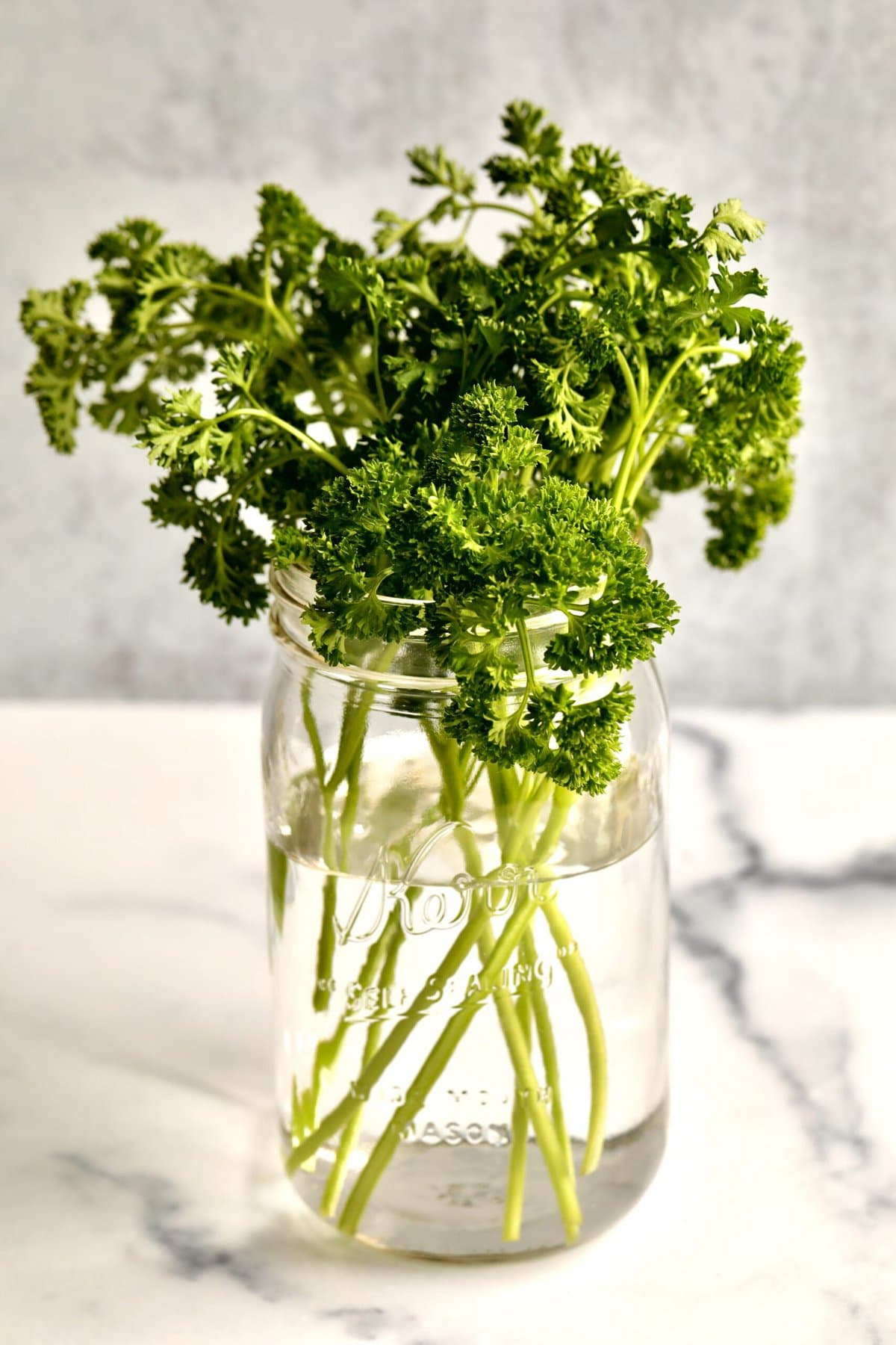 curly parsley in jar with water.