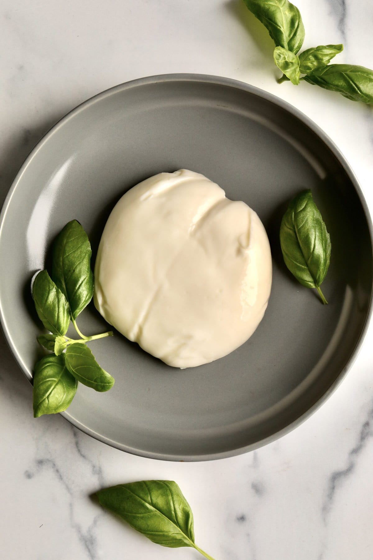 Buffalo Mozzarella Vs Burrata Sale Price brunofuga.adv.br
