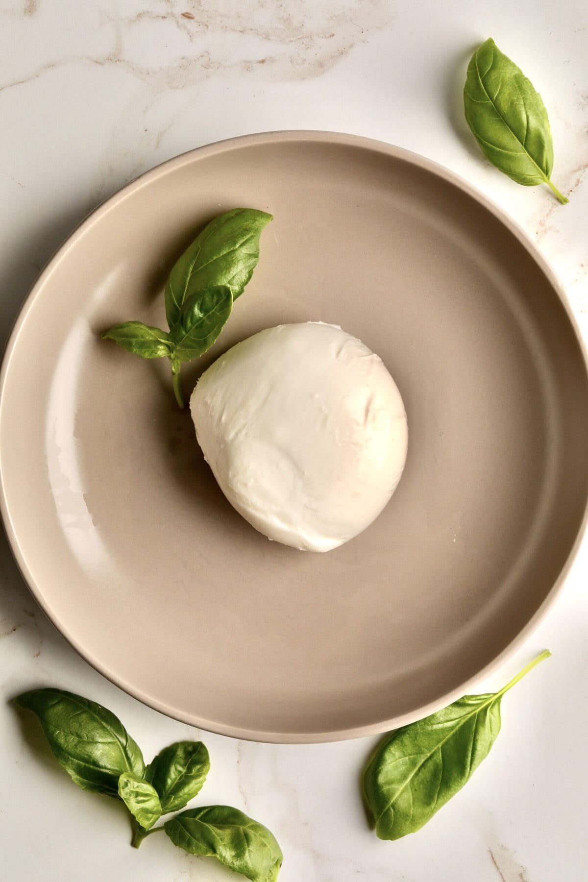 mozzarella cheese on a plate with basil leaves.