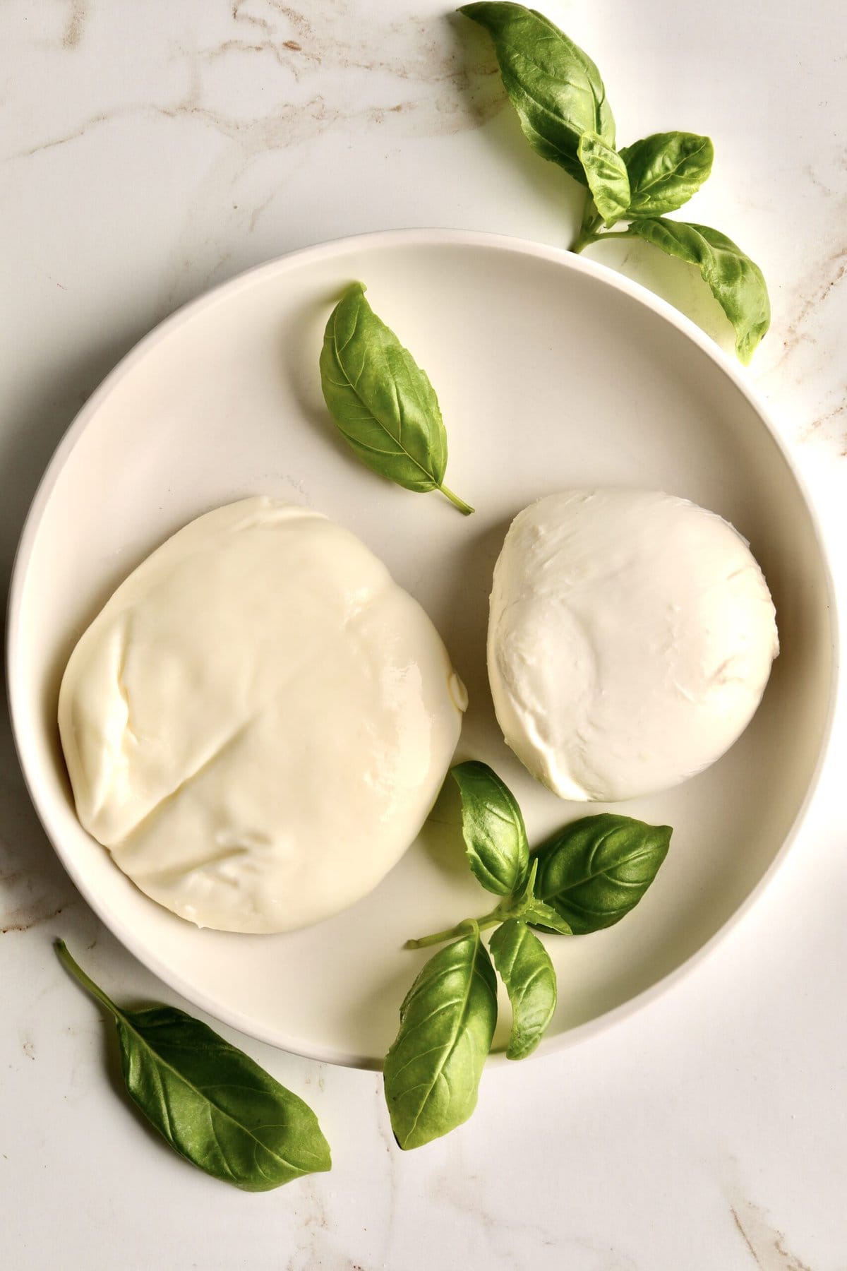 mozzarella and burrata cheese on a white plate with basil leaves.