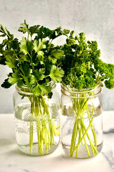 How to store parsley? parsley in jar with water