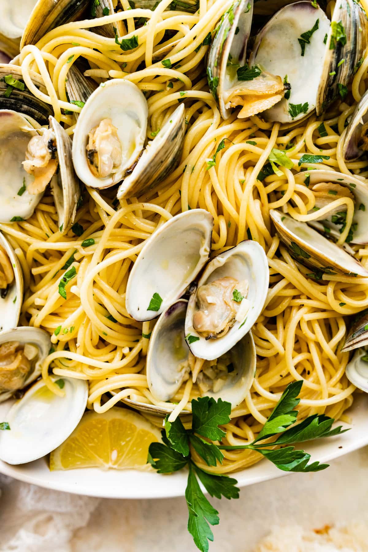 close up of the spaghetti alle vongole recipe. Clams are perfectly cooked.