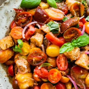 close up of the beautiful summer panzanella salad and all the colors and fresh tomatoes and soaked bread.
