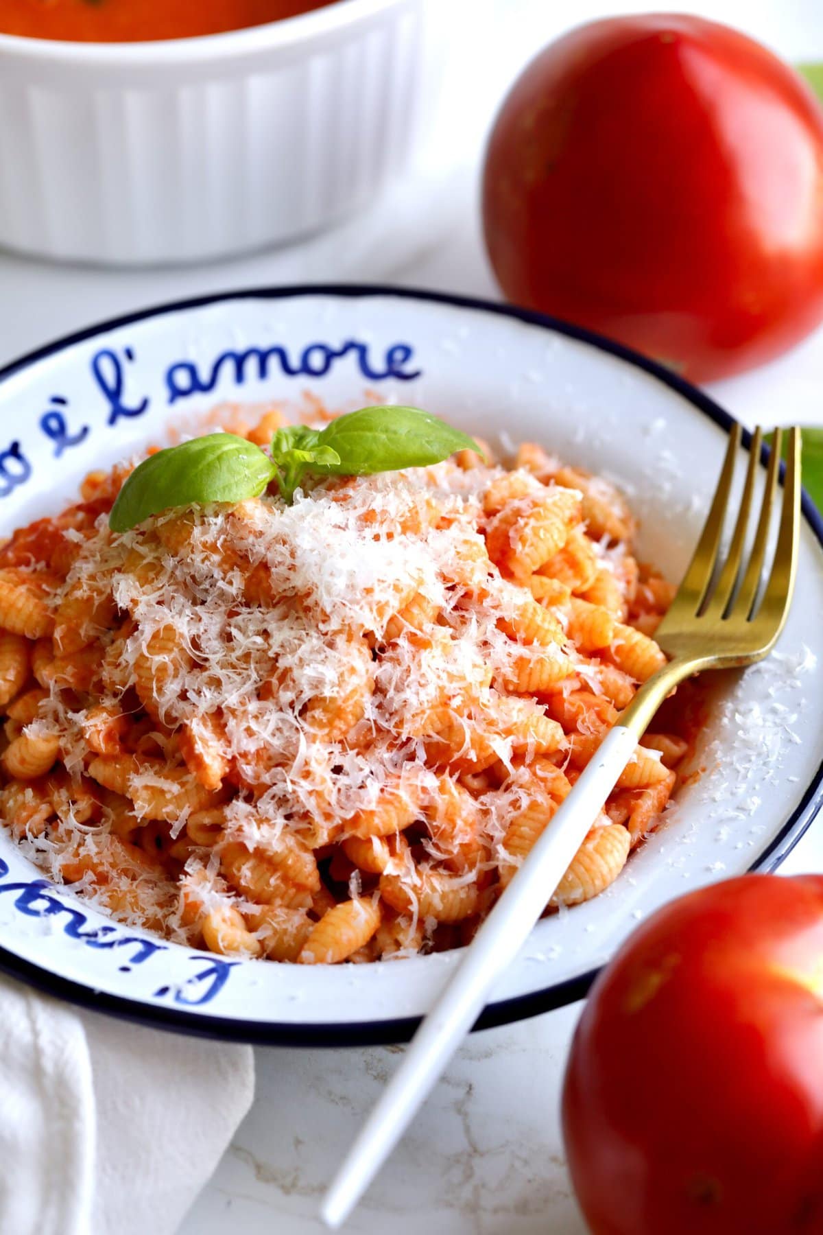 plate of pasta with marinara sauce and fresh tomatoes. for on the side.