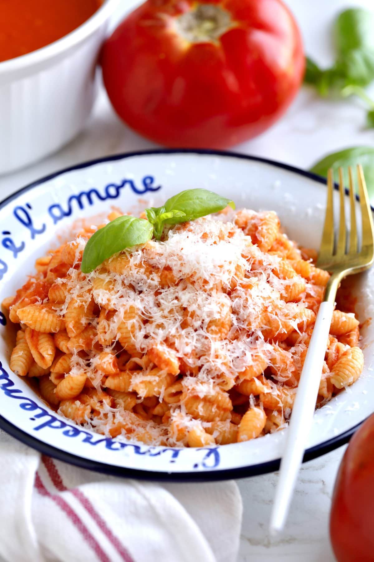 plate of pasta with marinara sauce and fresh tomatoes. for on the side. Tomatoes and basil in background.