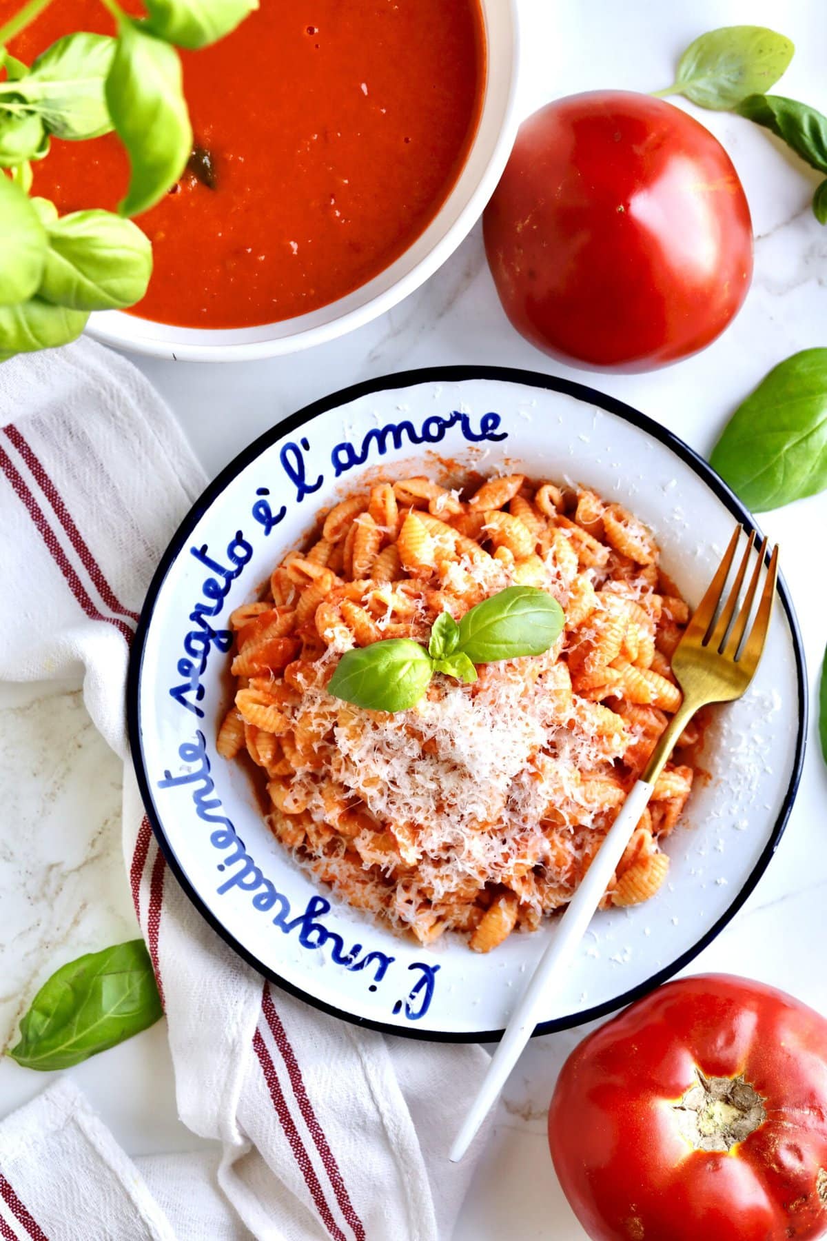 plate of pasta with marinara sauce and fresh tomatoes. for on the side. Tomatoes and basil in background.