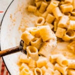 close up of wooden spoon dishing out the pasta alla gricia into a bowl.
