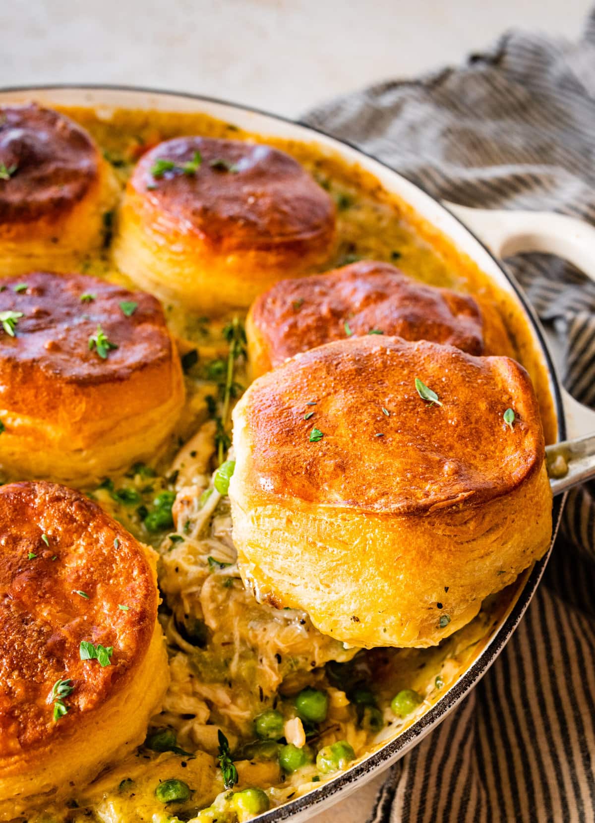 close up of baked casserole with brown topped biscuits.